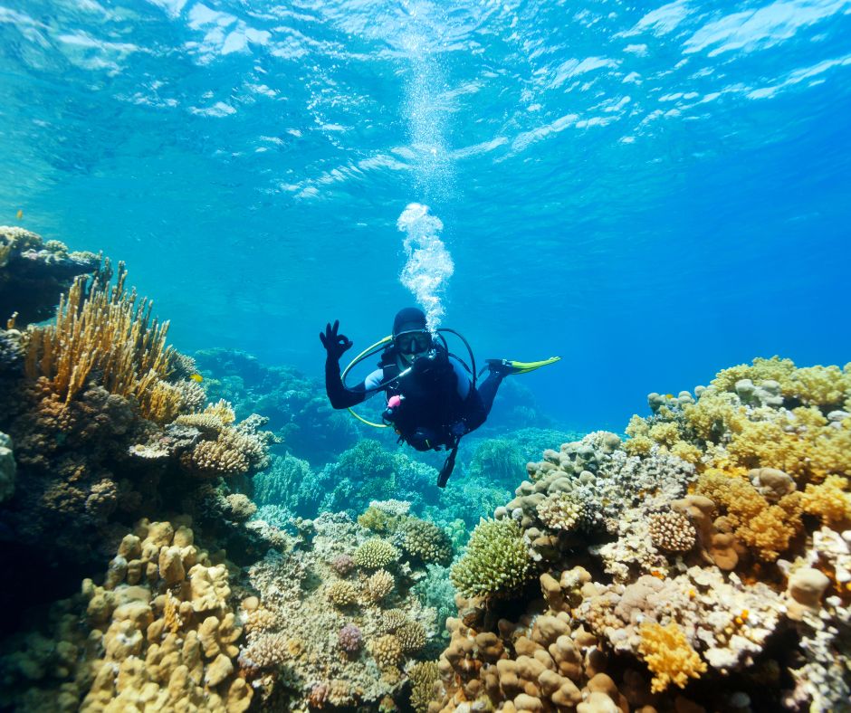 Ten Tips for New Divers • Scuba Diver Life