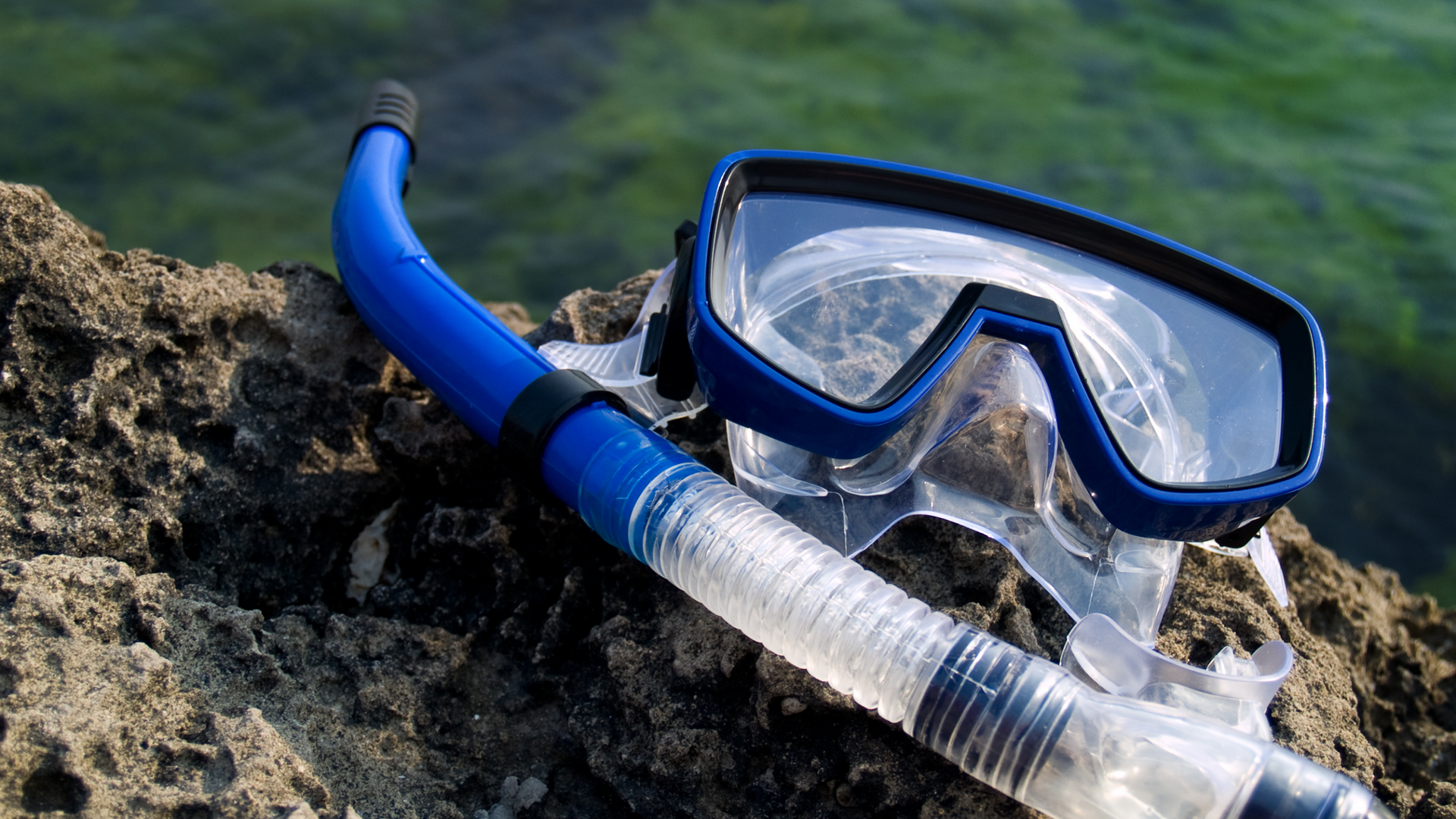 Essential Snorkeling Gear List & Buying Guide - SCUBAPRO