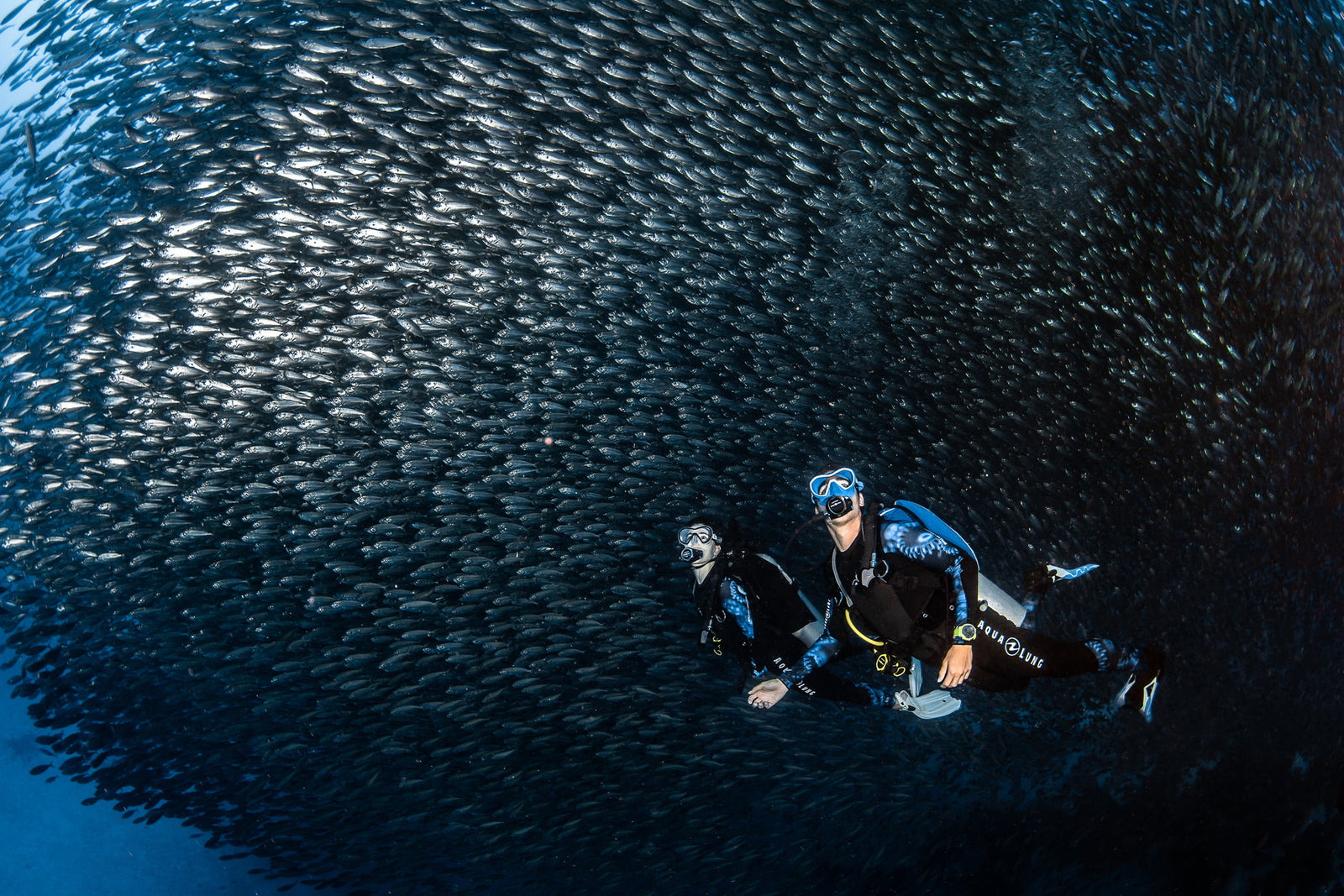 When Should you do a Scuba Refresher?