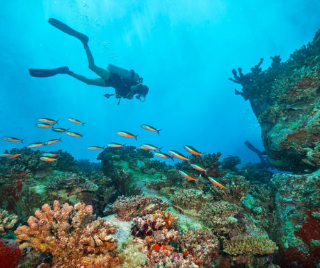 6 Life Changing Things to Expect When Becoming a Scuba Diver