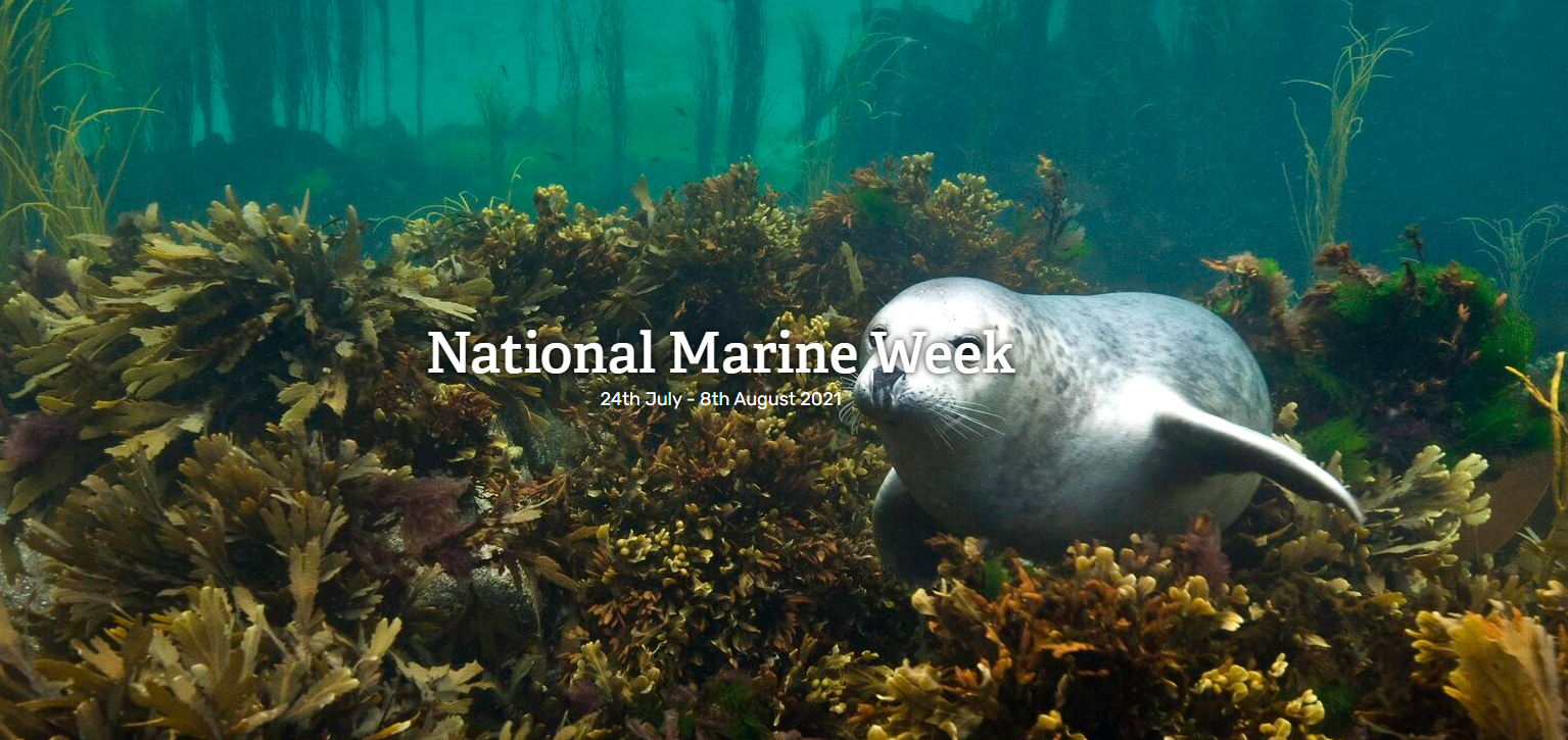 national Marine Week