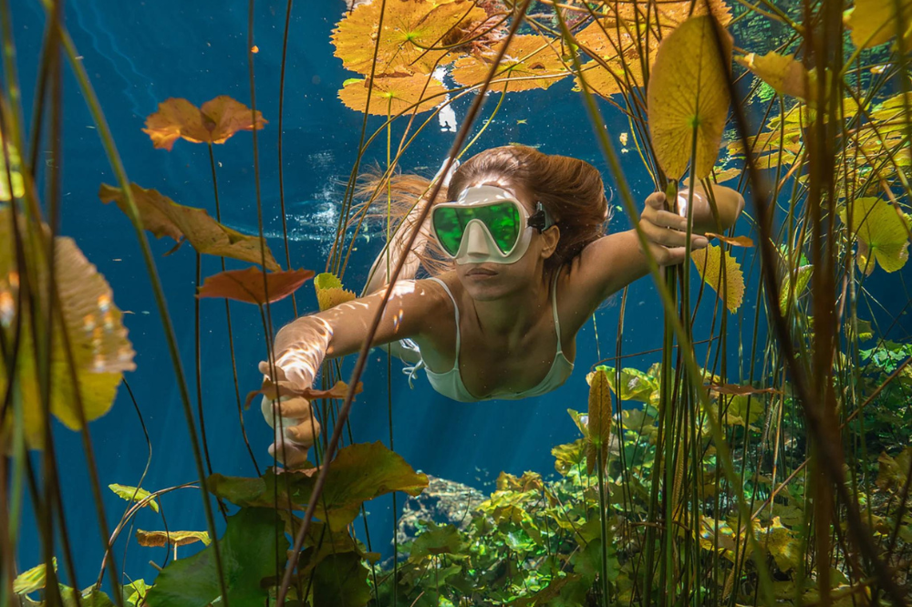 Dive Mask with Coated and Tinted Lenses