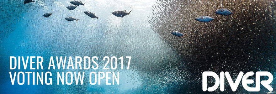 Diver Awards 2017 - Voting Now Open