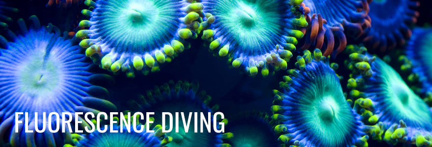 Fluorescence Diving