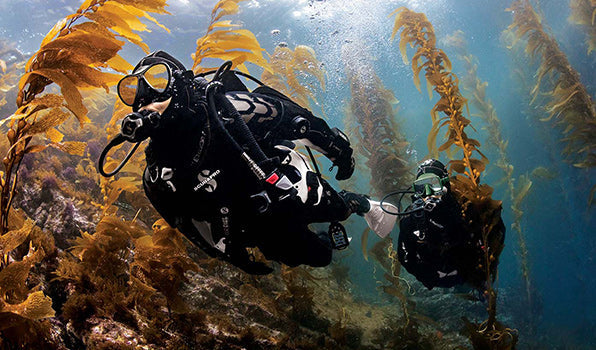 Shearwater Research Dive Computers