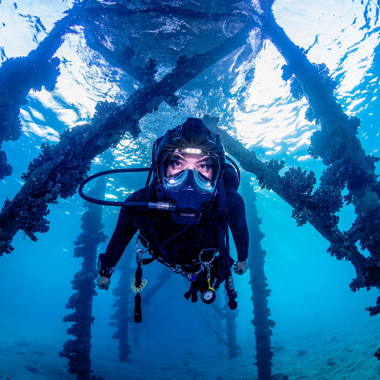 Ocean Reef Dive Equipment