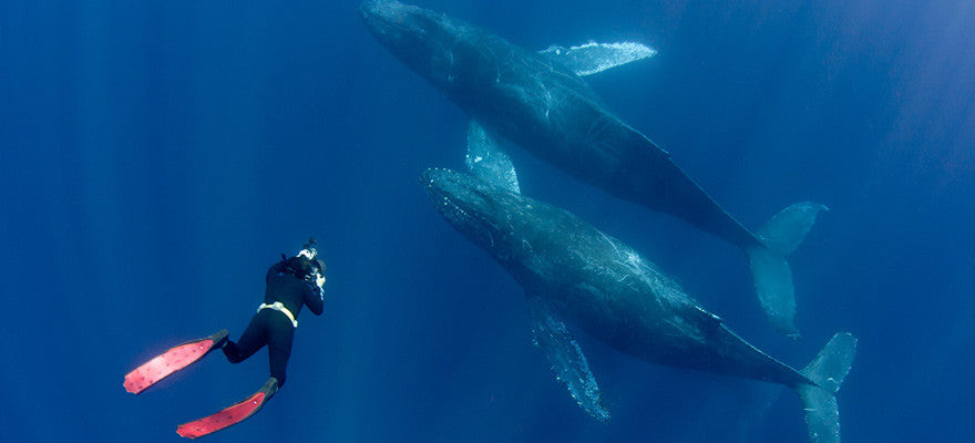 Snorkelling Wetsuits